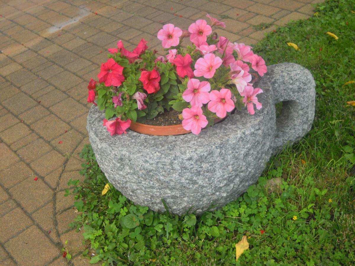 Il Nido Del Merlo Parcheggio E Giardino แวร์บาเนีย ภายนอก รูปภาพ